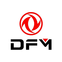 DFM
